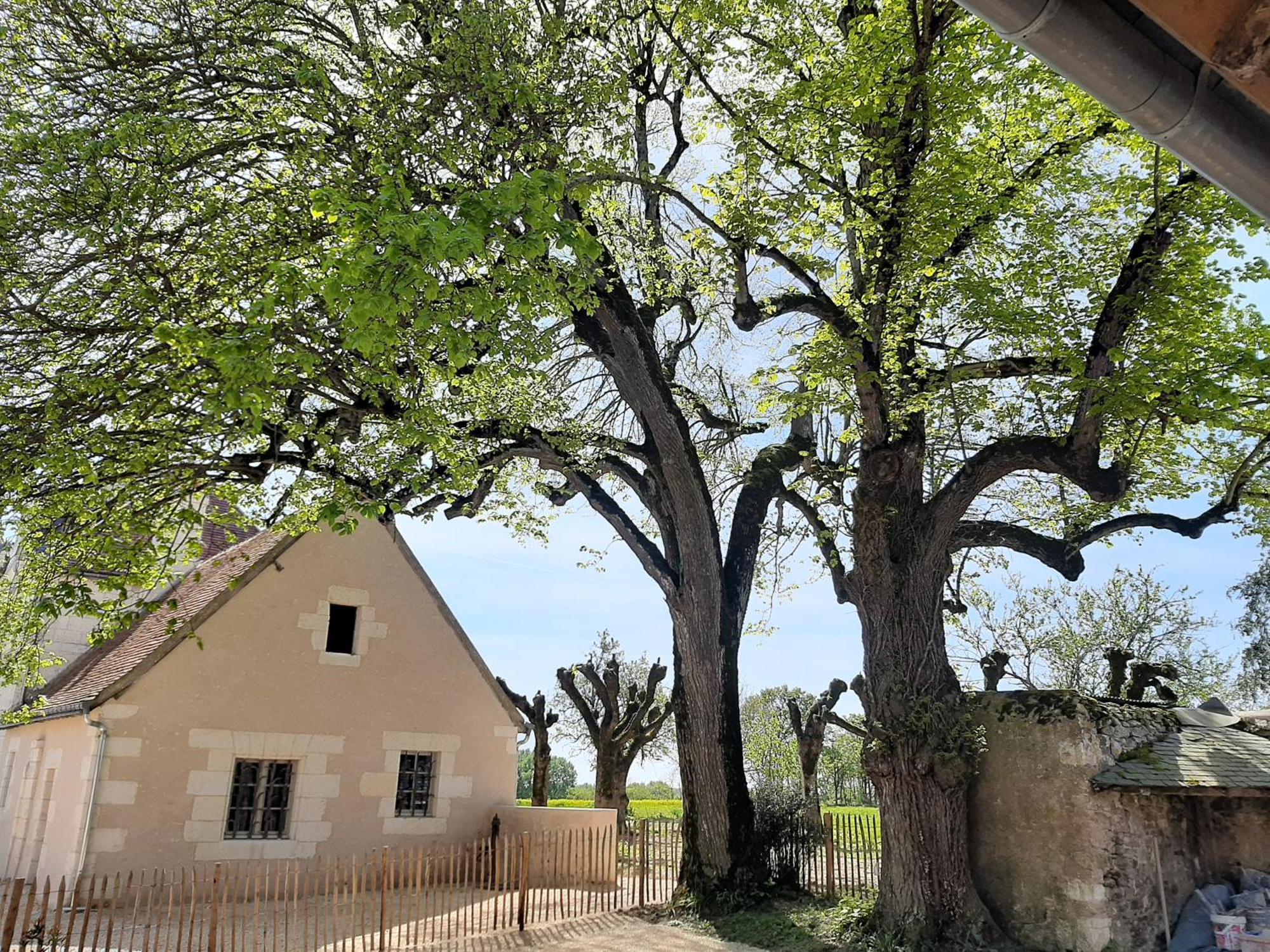 Le Puits Renaissance - Gites De Caractere Et Piscine Chauffee Chambourg-sur-Indre Luaran gambar